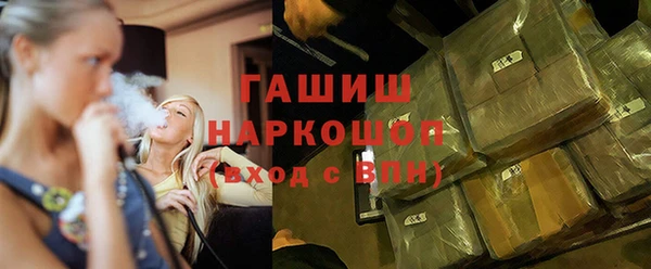 индика Вязники
