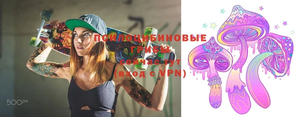 индика Вязники