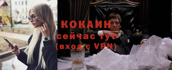 индика Вязники