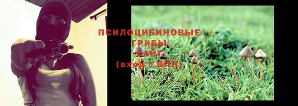 а пвп мука Вяземский