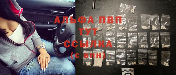 индика Вязники