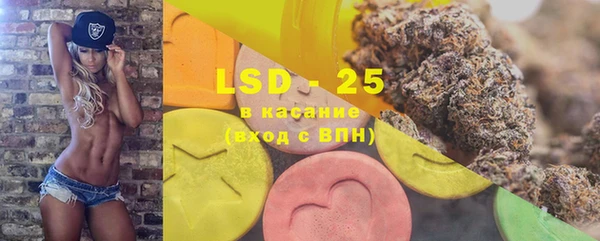 индика Вязники